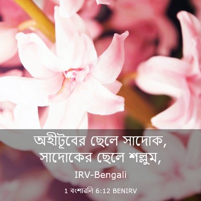 Picture 03 - 1 বংশাৱলি 6:12 BENIRV - অহীটূবের ছেলে - Bible Verse Picture