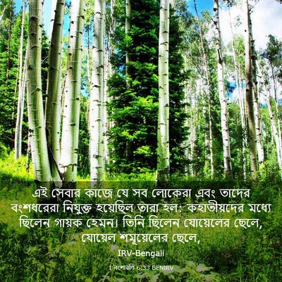 Picture 03 - 1 বংশাৱলি 6:33 BENIRV - এই সেবার কাজে যে সব - Bible Verse Picture