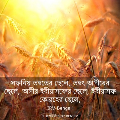 Picture 03 - 1 বংশাৱলি 6:37 BENIRV - সফনিয় তহতের ছেলে, - Bible Verse Picture