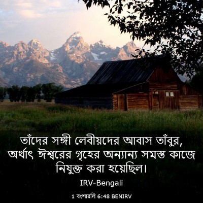 Picture 03 - 1 বংশাৱলি 6:48 BENIRV - তাঁদের সঙ্গী - Bible Verse Picture