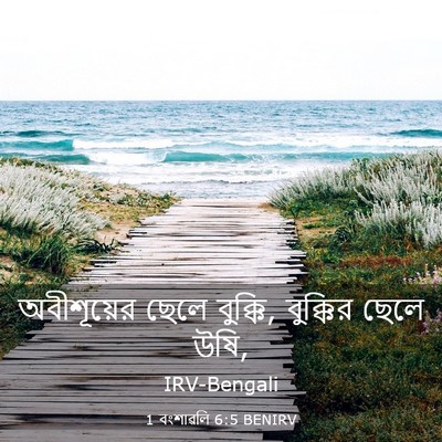 Picture 03 - 1 বংশাৱলি 6:5 BENIRV - অবীশূয়ের ছেলে - Bible Verse Picture