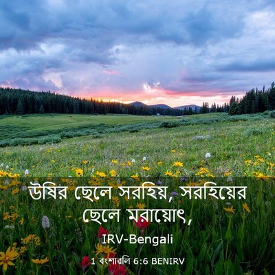 Picture 03 - 1 বংশাৱলি 6:6 BENIRV - উষির ছেলে সরহিয়, - Bible Verse Picture