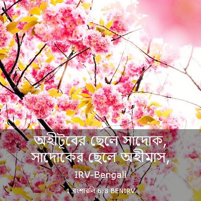 Picture 03 - 1 বংশাৱলি 6:8 BENIRV - অহীটূবের ছেলে - Bible Verse Picture