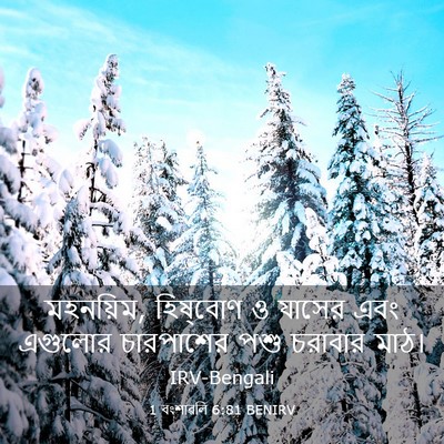 Picture 03 - 1 বংশাৱলি 6:81 BENIRV - মহনয়িম, হিষ্‌বোণ - Bible Verse Picture