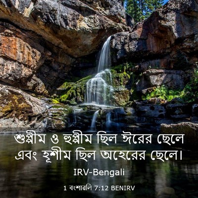 Picture 03 - 1 বংশাৱলি 7:12 BENIRV - শুপ্পীম ও হুপ্পীম - Bible Verse Picture
