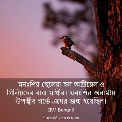 Picture 03 - 1 বংশাৱলি 7:14 BENIRV - মনঃশির ছেলেরা হল - Bible Verse Picture