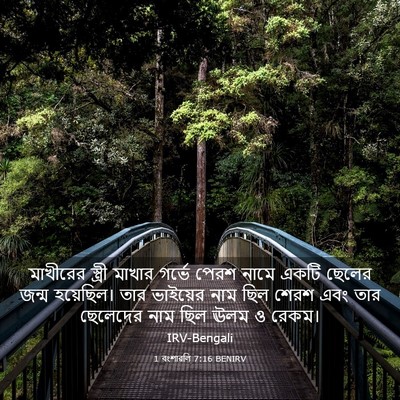 Picture 03 - 1 বংশাৱলি 7:16 BENIRV - মাখীরের স্ত্রী - Bible Verse Picture