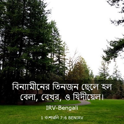 Picture 03 - 1 বংশাৱলি 7:6 BENIRV - বিন্যামীনের তিনজন - Bible Verse Picture