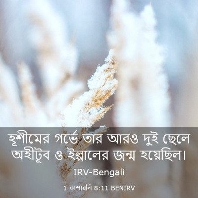 Picture 03 - 1 বংশাৱলি 8:11 BENIRV - হূশীমের গর্ভে তার - Bible Verse Picture