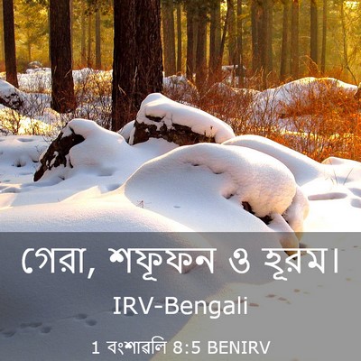 Picture 03 - 1 বংশাৱলি 8:5 BENIRV - গেরা, শফূফন ও - Bible Verse Picture
