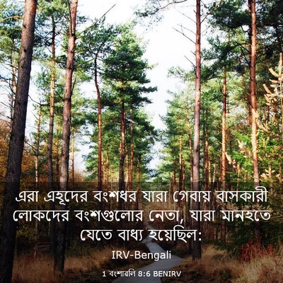 Picture 03 - 1 বংশাৱলি 8:6 BENIRV - এরা এহূদের বংশধর - Bible Verse Picture