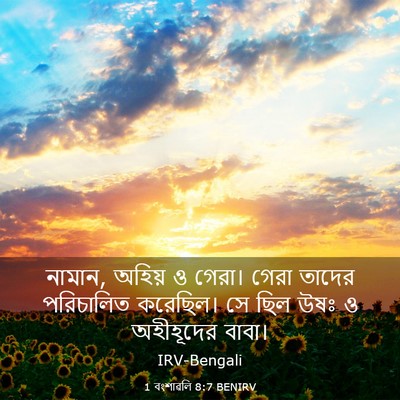 Picture 03 - 1 বংশাৱলি 8:7 BENIRV - নামান, অহিয় ও - Bible Verse Picture
