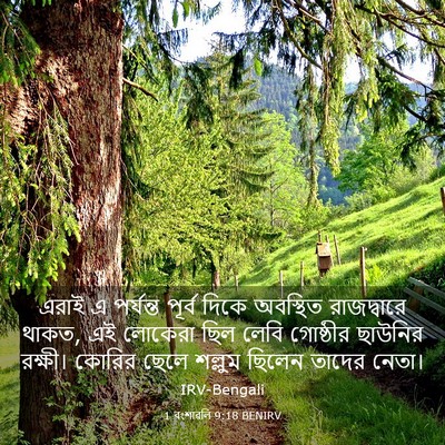 Picture 03 - 1 বংশাৱলি 9:18 BENIRV - এরাই এ পর্যন্ত - Bible Verse Picture