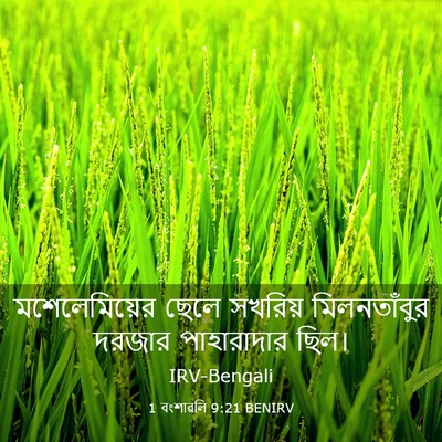 Picture 03 - 1 বংশাৱলি 9:21 BENIRV - মশেলেমিয়ের ছেলে - Bible Verse Picture
