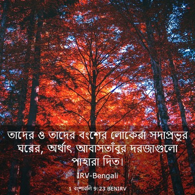 Picture 03 - 1 বংশাৱলি 9:23 BENIRV - তাদের ও তাদের - Bible Verse Picture
