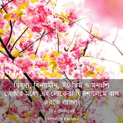 Picture 03 - 1 বংশাৱলি 9:3 BENIRV - যিহূদা, বিন্যামীন, - Bible Verse Picture