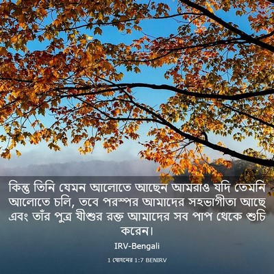 Picture 03 - 1 যোহনের 1:7 BENIRV - কিন্তু তিনি যেমন - Bible Verse Picture