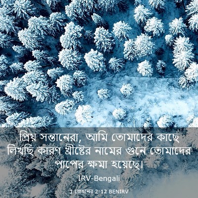 Picture 03 - 1 যোহনের 2:12 BENIRV - প্রিয় সন্তানেরা, - Bible Verse Picture