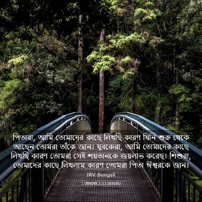 Picture 03 - 1 যোহনের 2:13 BENIRV - পিতারা, আমি - Bible Verse Picture