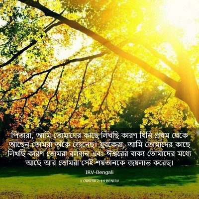 Picture 03 - 1 যোহনের 2:14 BENIRV - পিতারা, আমি - Bible Verse Picture