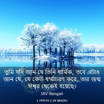 Picture 03 - 1 যোহনের 2:29 BENIRV - তুমি যদি জান যে - Bible Verse Picture
