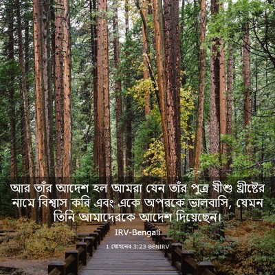 Picture 03 - 1 যোহনের 3:23 BENIRV - আর তাঁর আদেশ হল - Bible Verse Picture
