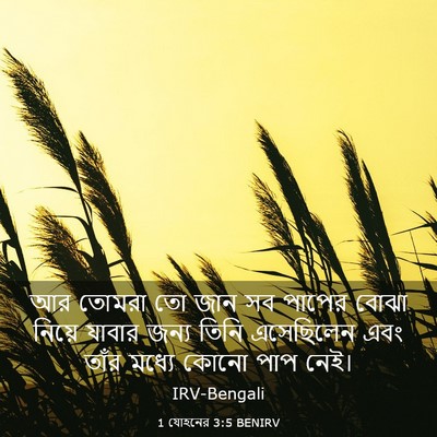 Picture 03 - 1 যোহনের 3:5 BENIRV - আর তোমরা তো জান সব - Bible Verse Picture