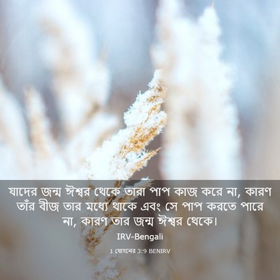 Picture 03 - 1 যোহনের 3:9 BENIRV - যাদের জন্ম ঈশ্বর - Bible Verse Picture