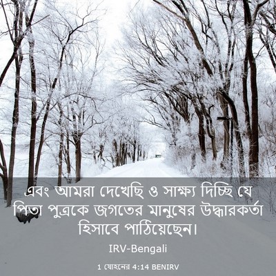 Picture 03 - 1 যোহনের 4:14 BENIRV - এবং আমরা দেখেছি ও - Bible Verse Picture