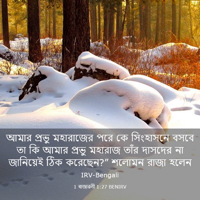 Picture 03 - 1 ৰাজাৱলী 1:27 BENIRV - আমার প্রভু - Bible Verse Picture