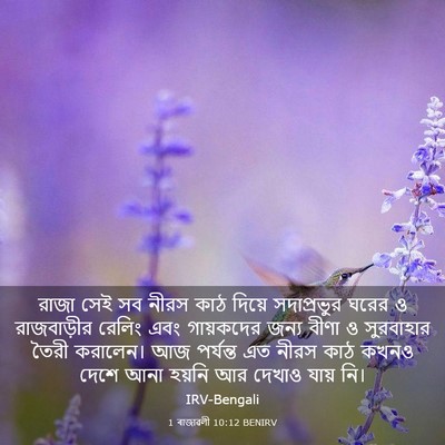 Picture 03 - 1 ৰাজাৱলী 10:12 BENIRV - রাজা সেই সব নীরস - Bible Verse Picture
