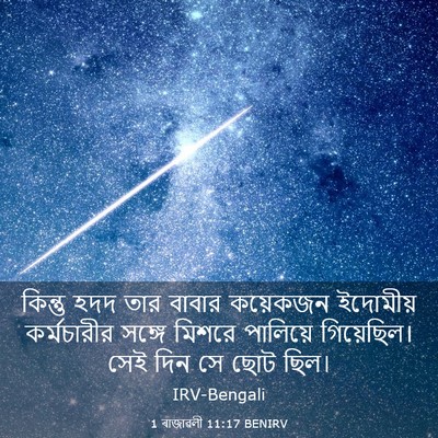 Picture 03 - 1 ৰাজাৱলী 11:17 BENIRV - কিন্তু হদদ তার - Bible Verse Picture