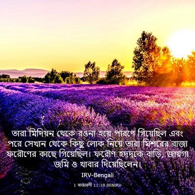 Picture 03 - 1 ৰাজাৱলী 11:18 BENIRV - তারা মিদিয়ন থেকে - Bible Verse Picture