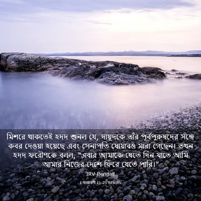 Picture 03 - 1 ৰাজাৱলী 11:21 BENIRV - মিশরে থাকতেই হদদ - Bible Verse Picture