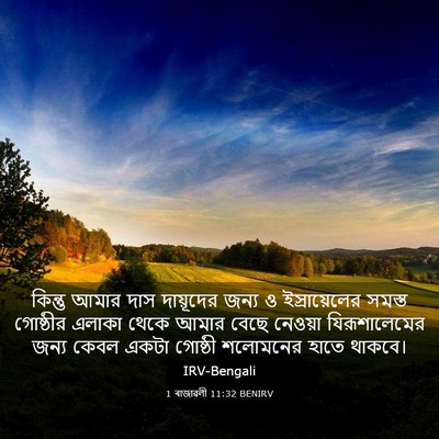 Picture 03 - 1 ৰাজাৱলী 11:32 BENIRV - কিন্তু আমার দাস - Bible Verse Picture