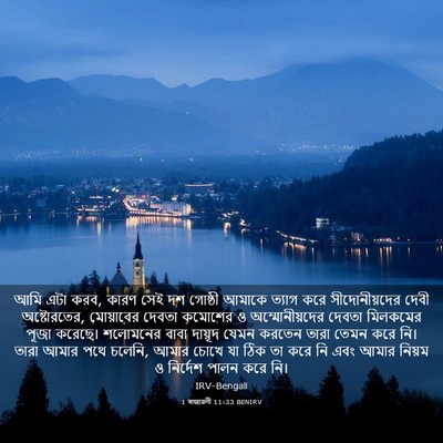 Picture 03 - 1 ৰাজাৱলী 11:33 BENIRV - আমি এটা করব, কারণ - Bible Verse Picture