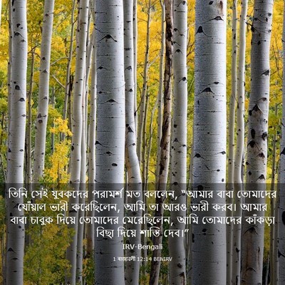 Picture 03 - 1 ৰাজাৱলী 12:14 BENIRV - তিনি সেই যুবকদের - Bible Verse Picture