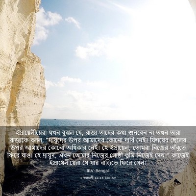 Picture 03 - 1 ৰাজাৱলী 12:16 BENIRV - ইস্রায়েলীয়েরা - Bible Verse Picture