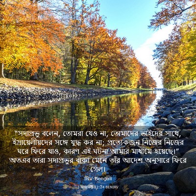 Picture 03 - 1 ৰাজাৱলী 12:24 BENIRV - “সদাপ্রভু বলেন, - Bible Verse Picture