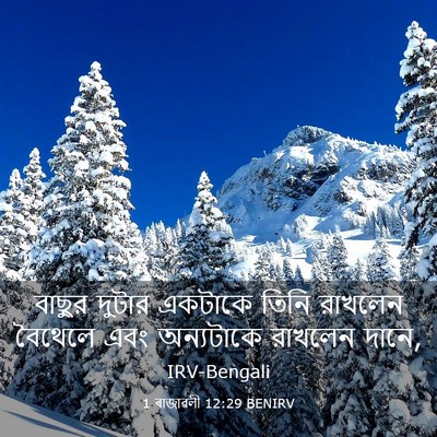 Picture 03 - 1 ৰাজাৱলী 12:29 BENIRV - বাছুর দুটার - Bible Verse Picture