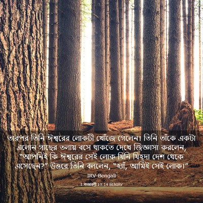 Picture 03 - 1 ৰাজাৱলী 13:14 BENIRV - তারপর তিনি - Bible Verse Picture