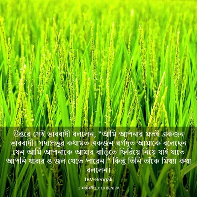 Picture 03 - 1 ৰাজাৱলী 13:18 BENIRV - উত্তরে সেই - Bible Verse Picture