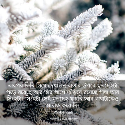 Picture 03 - 1 ৰাজাৱলী 13:28 BENIRV - তারপর তিনি গিয়ে - Bible Verse Picture