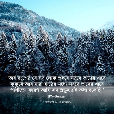 Picture 03 - 1 ৰাজাৱলী 14:11 BENIRV - তার বংশের যে সব লোক - Bible Verse Picture