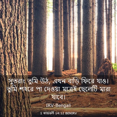 Picture 03 - 1 ৰাজাৱলী 14:12 BENIRV - সুতরাং তুমি উঠ, এখন - Bible Verse Picture