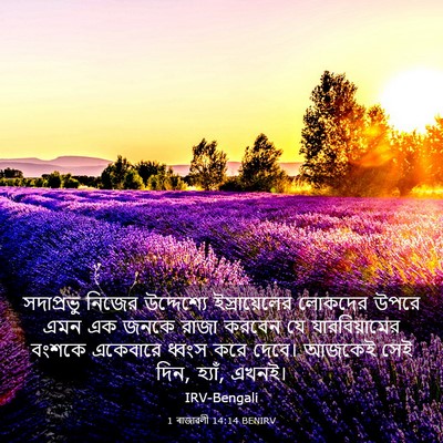 Picture 03 - 1 ৰাজাৱলী 14:14 BENIRV - সদাপ্রভু নিজের - Bible Verse Picture