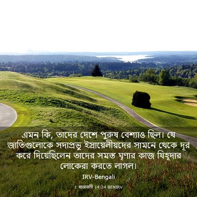 Picture 03 - 1 ৰাজাৱলী 14:24 BENIRV - এমন কি, তাদের দেশে - Bible Verse Picture
