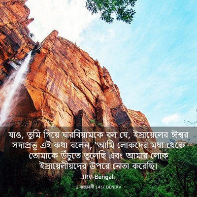 Picture 03 - 1 ৰাজাৱলী 14:7 BENIRV - যাও, তুমি গিয়ে - Bible Verse Picture