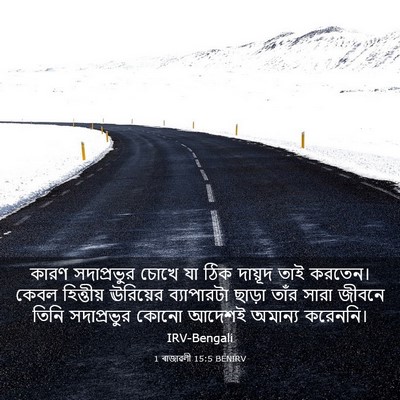 Picture 03 - 1 ৰাজাৱলী 15:5 BENIRV - কারণ সদাপ্রভুর - Bible Verse Picture