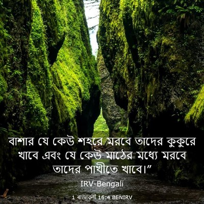 Picture 03 - 1 ৰাজাৱলী 16:4 BENIRV - বাশার যে কেউ শহরে - Bible Verse Picture